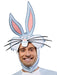 Adult Looney Tunes Bugs Bunny Costume - costumesupercenter.com