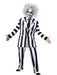 Men's Beetlejuice Costume - Grand Heritage - costumesupercenter.com