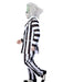 Men's Beetlejuice Costume - Grand Heritage - costumesupercenter.com