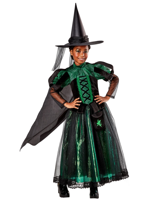 Girls' The Wizard of Oz Wicked Witch Costume - Deluxe - costumesupercenter.com