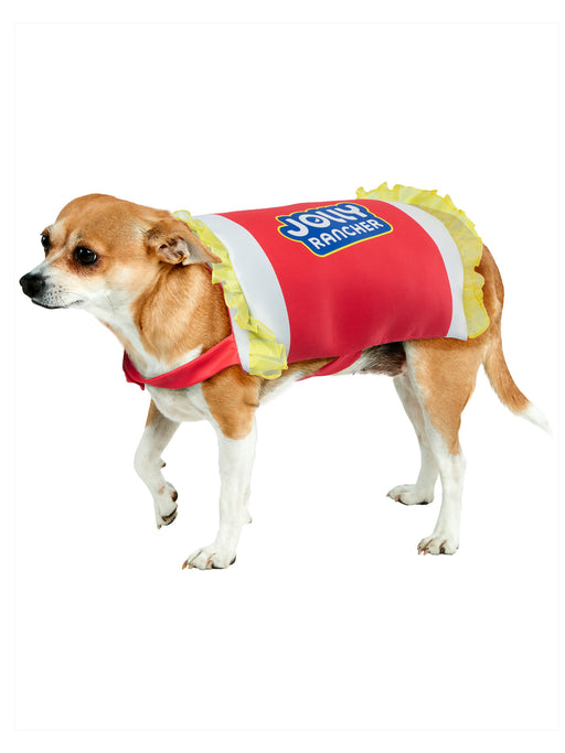 Cherry Jolly Rancher Pet Costume - costumesupercenter.com