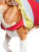 Cherry Jolly Rancher Pet Costume - costumesupercenter.com