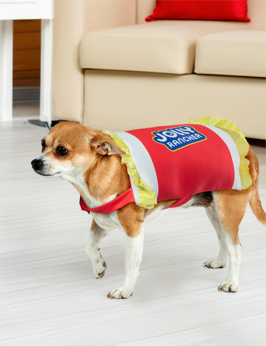 Cherry Jolly Rancher Pet Costume - costumesupercenter.com