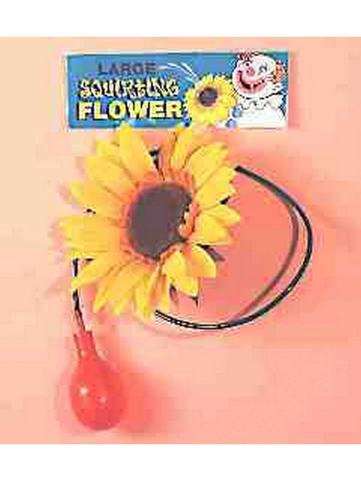 Squirting Clown Flower Prop — Costume Super Center