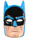 Men's DC Comics Ben Cooper Batman T-Shirt and Half Mask - costumesupercenter.com