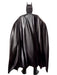 Men's Batman Forever Batman Costume - Deluxe - costumesupercenter.com