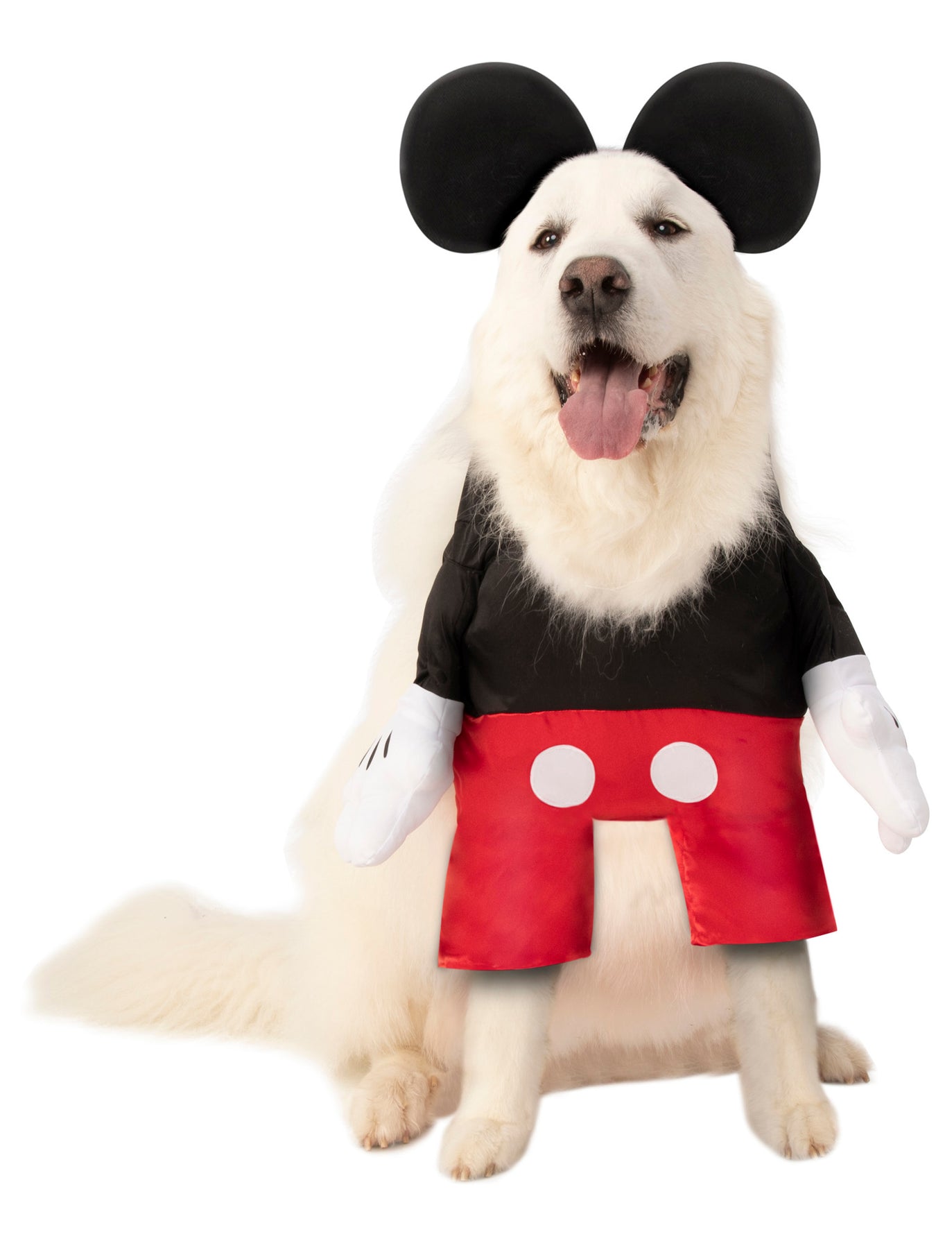 Pet Disney - Pixar Costumes