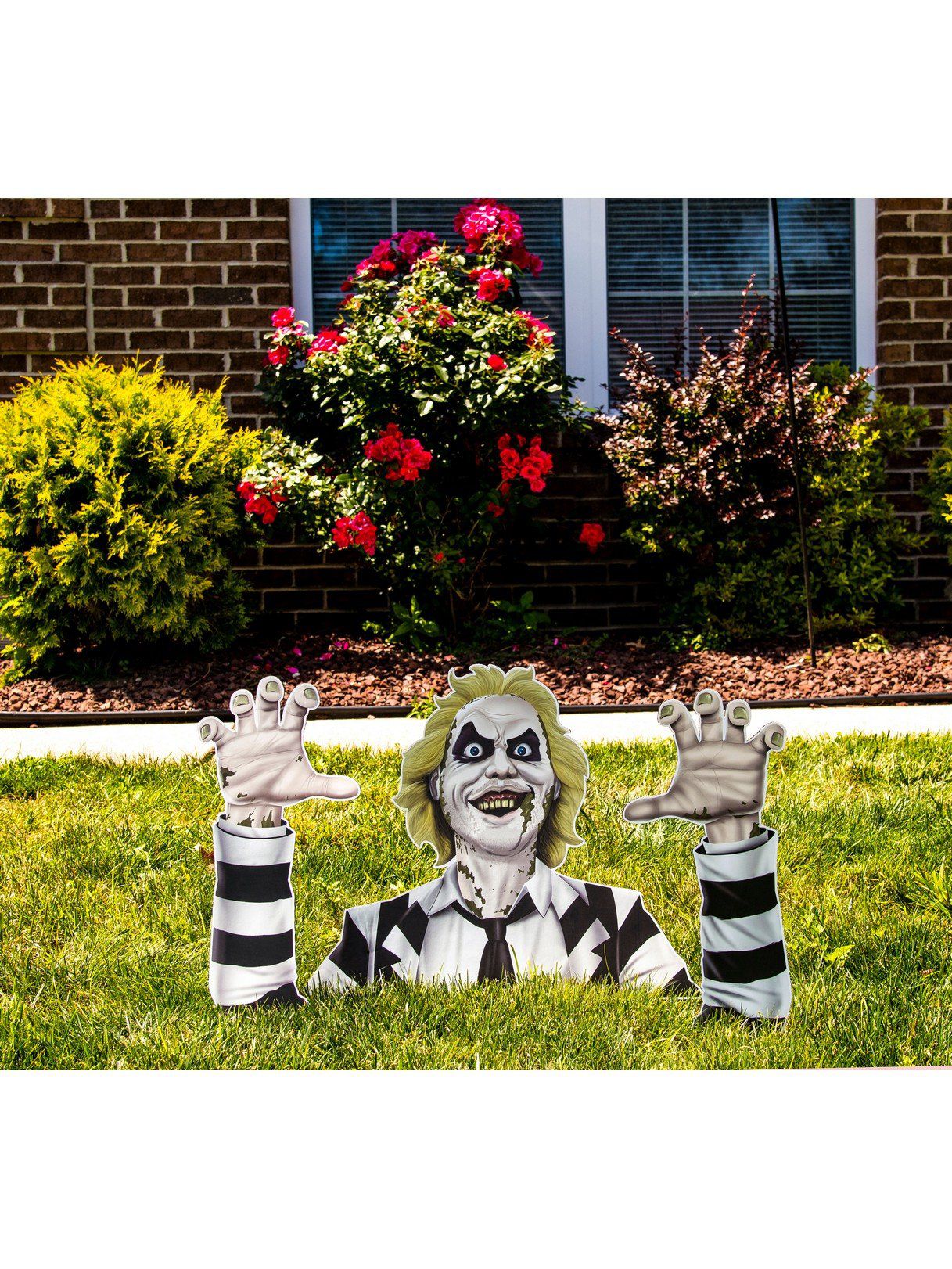 Beetlejuice Decorations