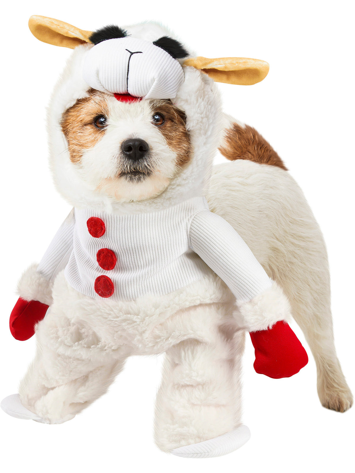 Snowman outfit hot sale for dogs