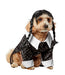 Wednesday Addams Pet Costume - costumesupercenter.com