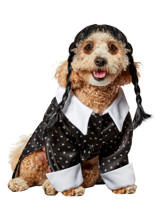 Wednesday Addams Pet Costume - costumesupercenter.com