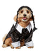 Wednesday Addams Pet Costume - costumesupercenter.com