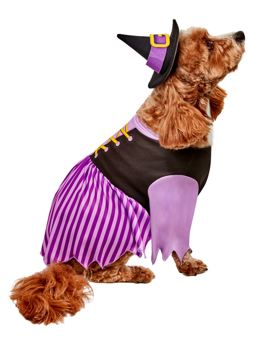 Purple Witch Pet Costume - costumesupercenter.com