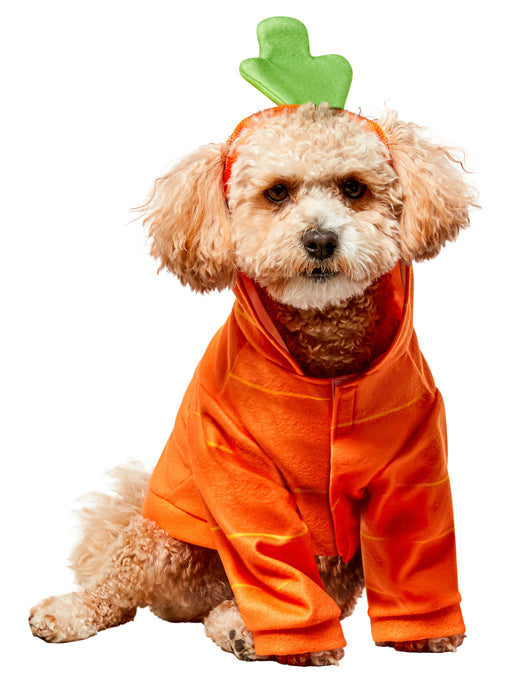 Carrot Hoodie Pet Costume - costumesupercenter.com