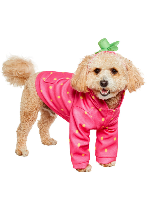 Sweet Strawberry Hoodie Pet Costume - costumesupercenter.com