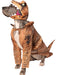 Jurassic World T-Rex Big Dog Pet Costume - costumesupercenter.com