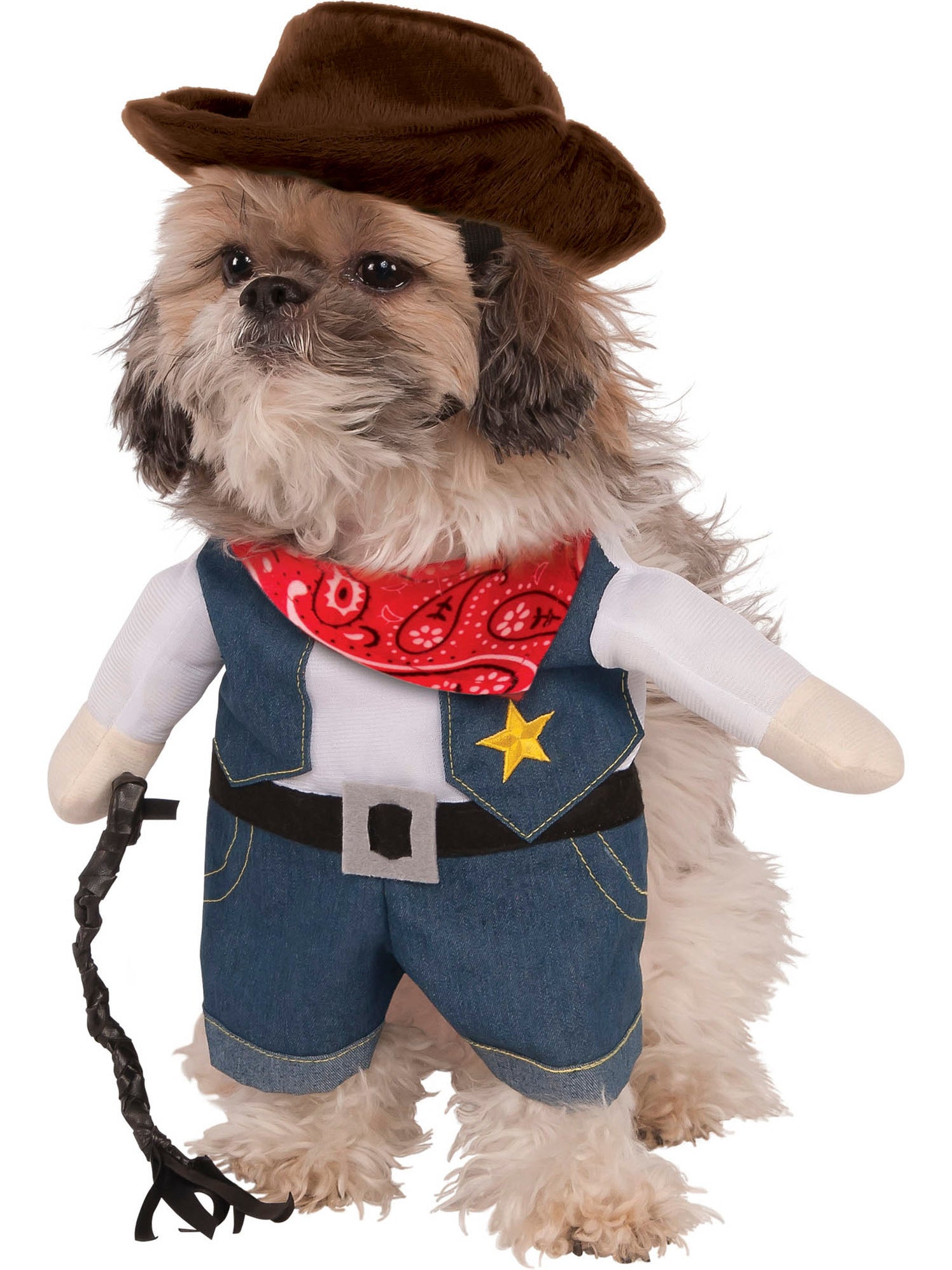 Cowboy Costume for Pets — Costume Super Center