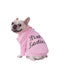 Grease Pink Ladies Jacket Pet Costume - costumesupercenter.com