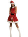 Adult Classic Santa's Inspiration Dress - costumesupercenter.com