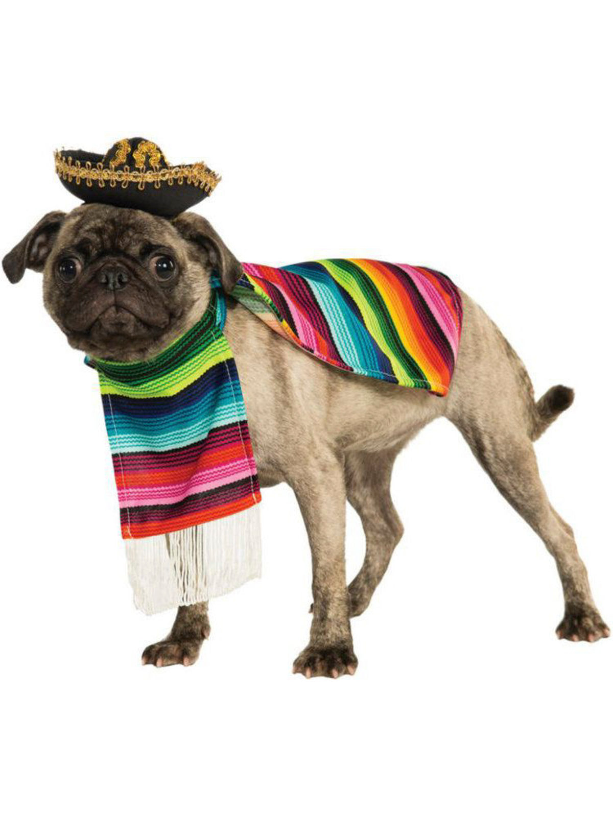 Poncho And Sombrero Mexican Dog Costume — Costume Super Center